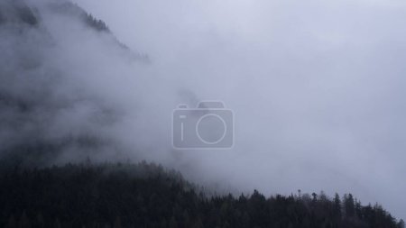 Téléchargez les photos : Un drone abattu dans le brouillard dans les Alpes bavaroises, Allemagne - en image libre de droit