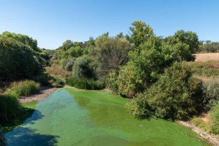 Téléchargez les photos : Une image de l'eau avec des tons verts dans le ruisseau Seda dans la municipalité d'Alter do Chao, district de Portalegre. - en image libre de droit