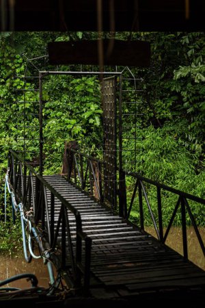 Téléchargez les photos : Plan vertical d'un pont de fer au-dessus d'une rivière boueuse entourée de buissons sempervirents dans une forêt - en image libre de droit