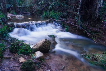 Téléchargez les photos : Chute d'eau dans une rivière de montagne effet soie longue exposition avec végétation en arrière-plan - en image libre de droit