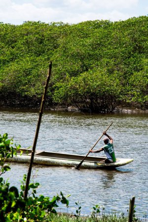 Photo for A fisherman paddling his canoe on the Jaguaripe riverbed in the City of Aratuipe, Bahia. - Royalty Free Image
