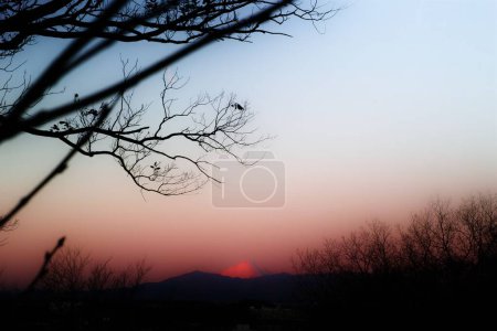 Téléchargez les photos : Un coucher de soleil violet doré sur la montagne - en image libre de droit