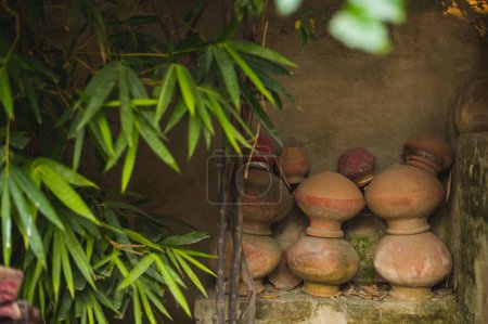 Photo for A pile of old clay vases in the yard with plant leaves in the foreground - Royalty Free Image