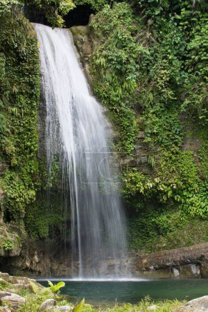 Foto de Un disparo vertical de una cascada en un bosque - Imagen libre de derechos