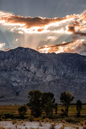 Photo for A vertical shot of the rocky mountains with the dry grass and trees at dusk in Owens Valley, California - Royalty Free Image
