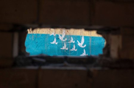 Foto de Una vista desde una habitación de ladrillo oscuro a una pared azul claro con pájaros pintados - Imagen libre de derechos