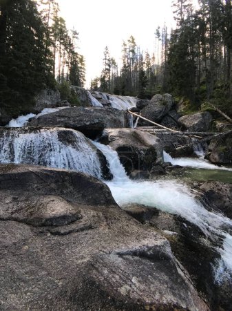 Téléchargez les photos : Plan vertical d'une rivière traversant des rochers dans une forêt verdoyante - en image libre de droit