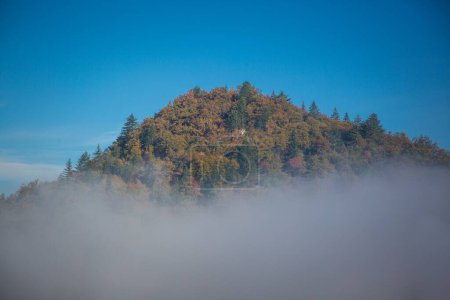 Photo for Foggy morning on a mountain top - Royalty Free Image