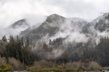 Foto de Las nubes y la niebla en la mañana en la cima de las montañas en el bosque lluvioso de Hoh, Parque Nacional Olímpico, EE.UU. - Imagen libre de derechos