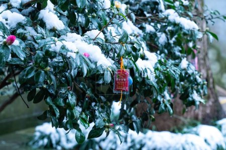 Téléchargez les photos : Un sac de bénédiction chinois Omamori accroché à un arbre enneigé dans le jardin d'un temple - en image libre de droit