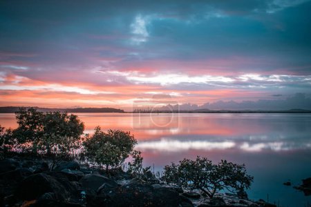 Foto de Una vista de un disparo al amanecer temprano en la mañana mirando sobre el puerto en Auckland City en el fondo con manglares. - Imagen libre de derechos