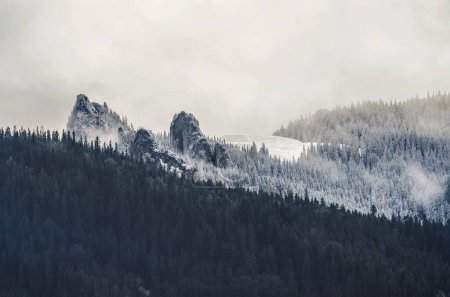 Photo for A landscape of the mesmerizing snowy forested hills - great for a wallpaper - Royalty Free Image