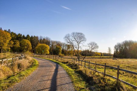 Téléchargez les photos : Une route de campagne sinueuse avec une clôture en bois sous le ciel bleu dans la campagne suédoise - en image libre de droit