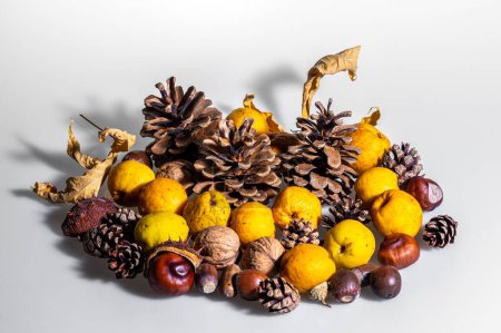 Foto de Una instalación de otoño hecha de conos y frutas - Imagen libre de derechos
