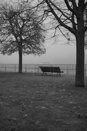 Téléchargez les photos : Banc de parc à l'aube brumeuse noir blanc - en image libre de droit