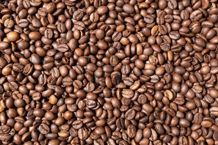 Photo for Roasted coffee beans background texture. Top view Full frame - Royalty Free Image