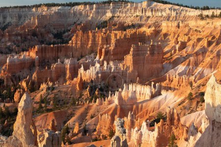 Foto de Un hermoso paisaje geológico con formaciones rocosas en el Parque Nacional Bryce Canyon, Utah - Imagen libre de derechos
