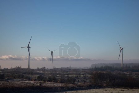 Foto de Molinos de viento que permanecen quietos en un frío día helado - Imagen libre de derechos