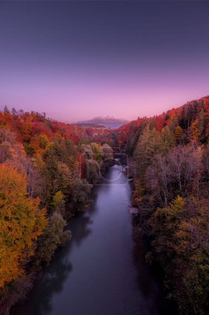 Téléchargez les photos : Plan vertical d'une rivière entourée d'une forêt aux arbres colorés à l'automne - en image libre de droit