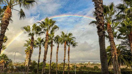 Photo for Rainbow arcs over Los Angeles during break in rain storm - Royalty Free Image