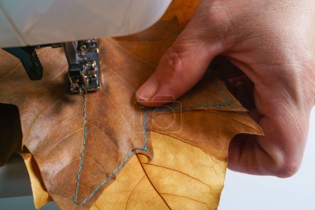 Téléchargez les photos : Woman machine sewing dried tree leaves with blue thread - en image libre de droit