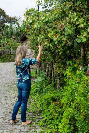 Téléchargez les photos : Une femme debout touchant les feuilles d'une plante dans la rue. Ville d'Aratuipe, Brésil. - en image libre de droit