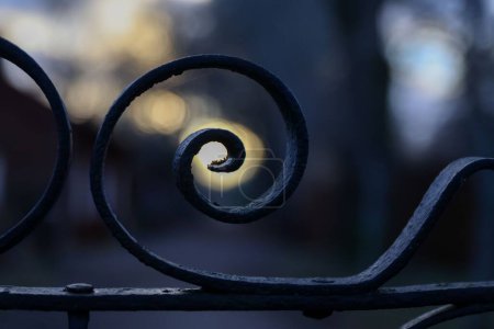 Foto de Un foco suave de un hierro forjado enrollado de una puerta ornamentada - Imagen libre de derechos
