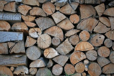 Téléchargez les photos : Un gros plan de bois de chauffage coupé - papier peint de branches d'arbres coupés et de grumes - en image libre de droit