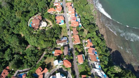 Photo for An aerial view of villas and a forest on the coast - Royalty Free Image