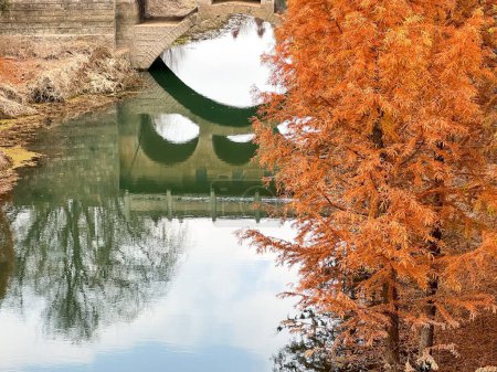 Téléchargez les photos : Une belle vue sur une rivière avec un reflet de pont derrière un arbre de couleur orange - en image libre de droit