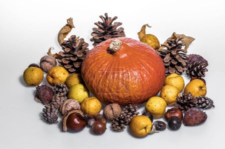 Foto de Una instalación de otoño hecha de conos y frutas - Imagen libre de derechos