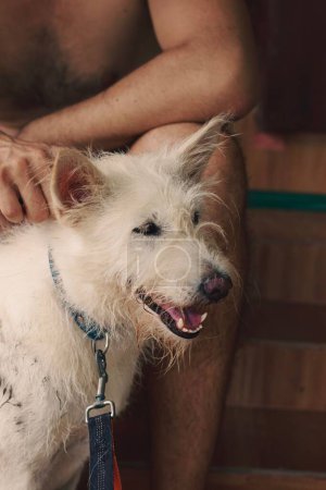 Foto de Vertical disparo de un feliz sonriente perro mascota terrier conseguir arañazos de propietario - Imagen libre de derechos