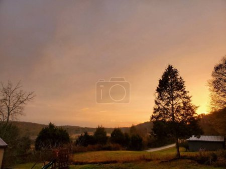 Photo for A beautiful shot of a rural field surrounded by trees during a sunset - Royalty Free Image