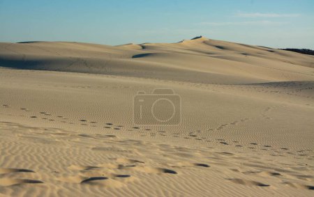Photo for A scenic view of the sand dunes in Dune du Pilat, France - Royalty Free Image