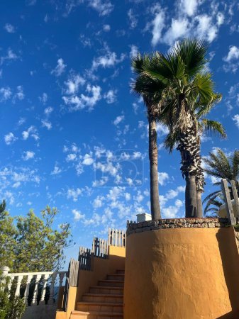 Téléchargez les photos : Un plan vertical d'escaliers entourés de palmiers et de ciel bleu par une journée ensoleillée, Ibiza - en image libre de droit