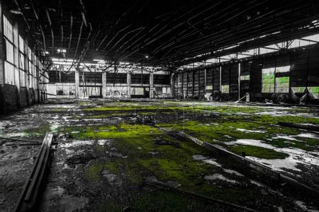 Photo for A selective color shot of an old abandoned mossy building - Royalty Free Image
