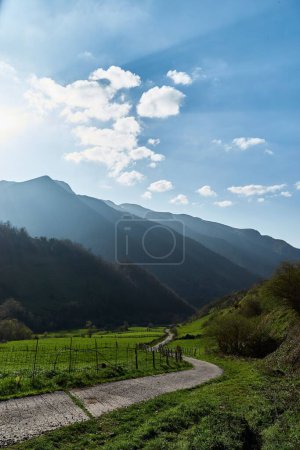Photo for A narrow path through green valley in the mountains - Royalty Free Image