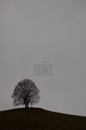 Téléchargez les photos : Plan vertical d'un seul arbre et d'une croix dans un champ vert sous des nuages sombres - en image libre de droit