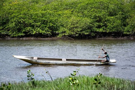 Téléchargez les photos : Un pêcheur pagayant sur le lit de la rivière Jaguaripe dans la ville d'Aratuipe, Bahia. - en image libre de droit