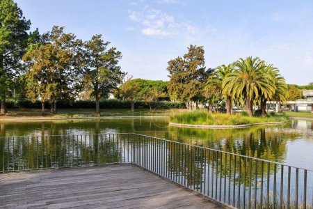 Foto de Un hermoso paisaje con hermosos árboles verdes alrededor del lago de Jardim Mario Soares en Lisboa, Portugal - Imagen libre de derechos