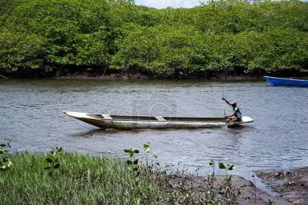 Téléchargez les photos : Un pêcheur pagayant sur le lit de la rivière Jaguaripe dans la ville d'Aratuipe, Bahia. - en image libre de droit