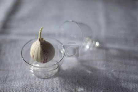 Téléchargez les photos : Plan rapproché d'une tête d'ail placée dans un bocal en verre avec une fermeture sur une serviette - en image libre de droit