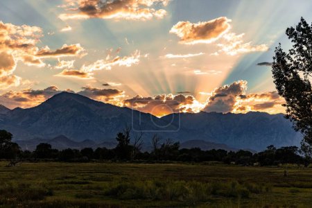 Photo for The rocky mountains with the dry grass and trees at dusk in Owens Valley, California - Royalty Free Image