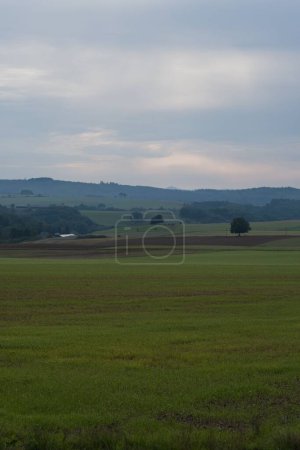 Photo for A vertical shot of a green field under a cloudy sky. - Royalty Free Image