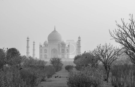 Téléchargez les photos : Un panorama monochrome du Taj Mahal par une journée brumeuse à Agra, Uttar Pradesh, Inde - en image libre de droit