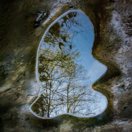 Téléchargez les photos : Une petite flaque d'eau avec le reflet des arbres à sa surface, fraîche pour l'arrière-plan - en image libre de droit