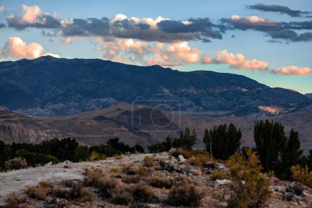 Photo for The rocky mountains with the dry grass and trees at dusk in Owens Valley, California - Royalty Free Image