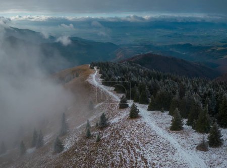 Téléchargez les photos : Vue aérienne d'arbres verts au sommet d'une colline couverte de neige et de nuages - en image libre de droit