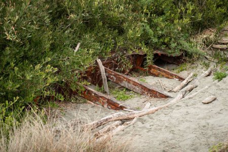 Téléchargez les photos : Une épave rouillée enterrée dans le sable et récupérée par la végétation - en image libre de droit