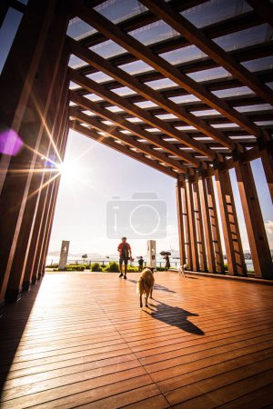 Téléchargez les photos : Plan vertical d'un jeune homme avec son chien courant après le coucher du soleil à West Kowloon, Hong Kong - en image libre de droit
